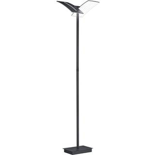 LED-gulvlampe Dual CCT, dæmpbar, sort