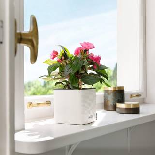 Lechuza Cube Color 16 krukke til blomster med selvvandingssystem Hvid