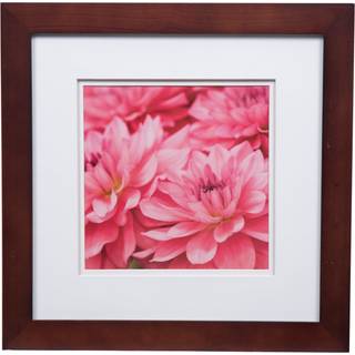 Galleri Solutions 12x12 Flat Walnut Wall -ramme med dobbelt hvid m?tten til 8x8 billede