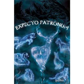 Harry Potter Patronus plakat