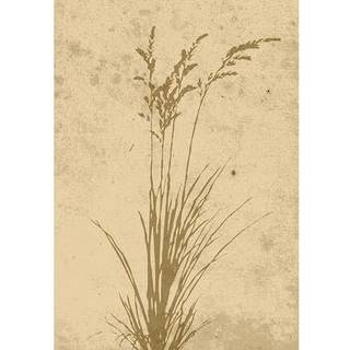 Venture Design Plant art poster 70 x 100 cm Beige