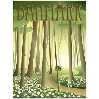Danmark Anemoner - Plakat 50x70 cm fra ViSSEVASSE