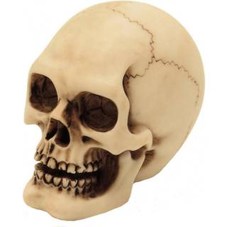 2er Set Graveyard Totenkopf Medium