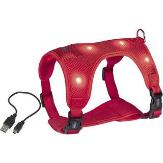 Seletøj "Flash Mesh" - Red - M