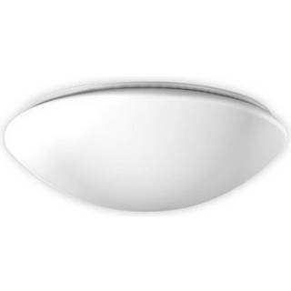 RZB Flat Polymero loftlampe on/off 14W 30cm 830