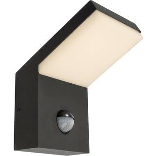 Udendørs LED-væglampe med sensor Tucanae, grå, højde 22 cm, IP54