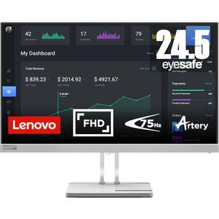 Lenovo L25e-40 computerskærm 62,2 cm (24.5") 1920 x 1080 pixel Fuld HD Grå