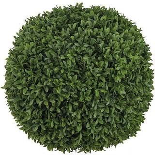 Mr Plant, Buxbom Kugle Grøn 50 cm