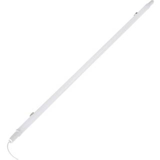 Ledvance Damp proof slim eco 36w/865 1200mm