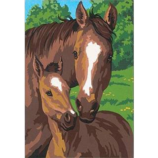 Dimensioner Horse Family Paint By Numbers for voksne 8 '' X 10 '' Pony & Mother
