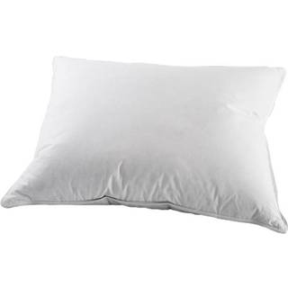 Varnamo of Sweden Blåklocka Pude 50x60 cm