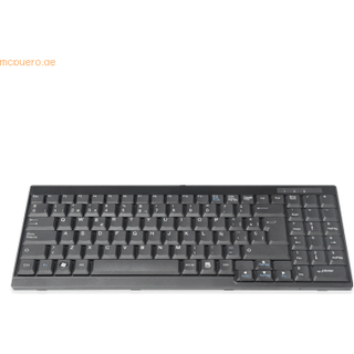 DIGITUS DS-72000ES - keyboard - QWERTY - Spanish - black Input Device - Tastatur - Spansk - Sort