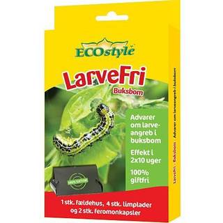 Larvefri buksbom - 4-pak (På lager i varehus)