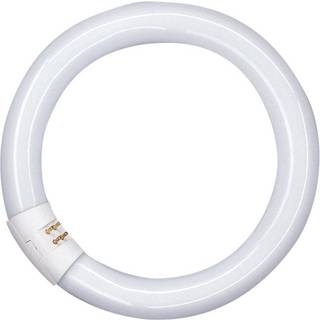 Osram T9 Cirkelrør 22W/827 29mm. G10Q - 1 stk. tilbage