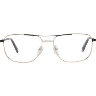 Web WE5318 032 55 Briller Mænd Guld - Gold Black - 55mm