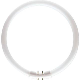 Cirkulært lysstofrør 40W 830 3300Lm - Ø30,5 cm