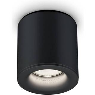 Helestra Lot udendørs loftlampe, IP65, sort