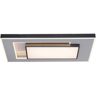 Paul Neuhaus Q-Alta LED-loftlampe, 100 x 55 cm