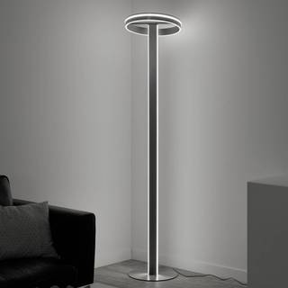 Paul Neuhaus Q-Vito LED-gulvlampe, lige med ring