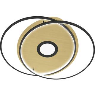 Paul Neuhaus Q-AMIRA LED-loftlampe oval, sort