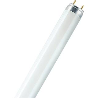 OSRAM Osram T8 L 36W/840 Lumilux Cool White G13. 1200 mm 4050300517872