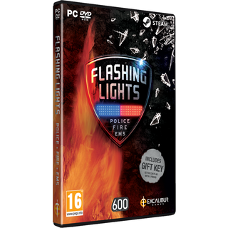 Flashing Lights: Police Fire EMS - Windows - Simulation