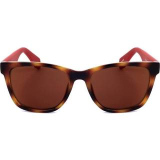 Adidas Originals OR0044 55U 54 Solbriller Mænd Tortoiseshell - Tortoise - 54mm