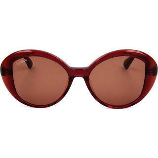 Max & Co. MO0019 71E 53 Solbriller Kvinder Rød - Transparent Burgundy Red - 53mm