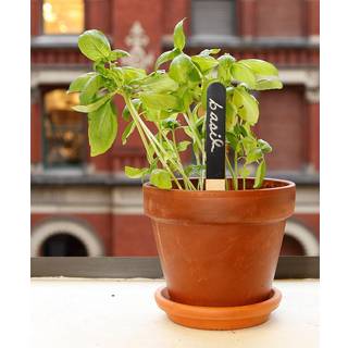 Kikkerland - Reusable Garden Markers (GA06)