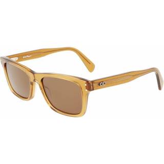 Ferragamo Mand SF1039S 261 Solbriller Acetat Brun Brun Firkantet Fotokromatisk