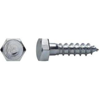 Fransk skrue m10,0x60 varmfz