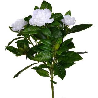 Vickerman 14.5 '' Kunstig hvid Polyester Gardenia Flower Bush - Realistisk med 93 mørkegrønne blade 3 blomster 3 nye vækstknopper - Indendørs bru