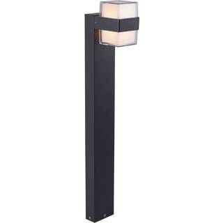 Paul Neuhaus Cara LED-gadelampe, up/down