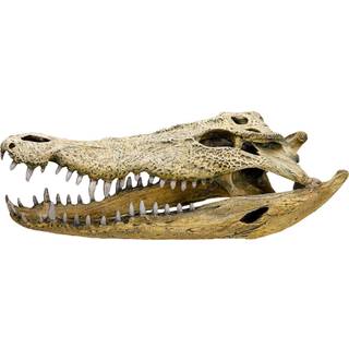 Akvariedekoration - Crocodile scull