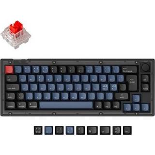 Keychron V2 QMK 65% RGB Knob Hotswap Tastatur - Frosted Black [K Pro Red]