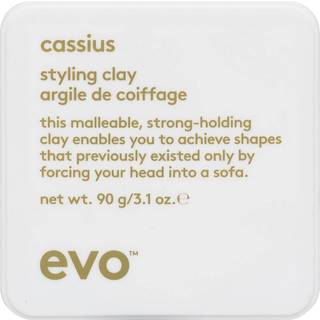 Evo Cassius Styling Clay 90g - Hos Frisøren & Baronen