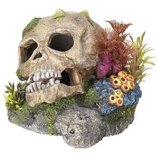 Akvariedekoration - Scull, med plants