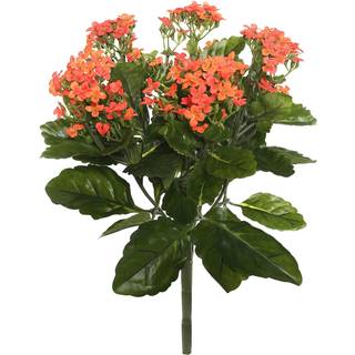 Vickerman Everyday Artificial Orange Kanachoe Bush 17.25 """" Lang - Premium Faux Floral Decor til bryllup eller hverdagsordninger - Vedligeholdels