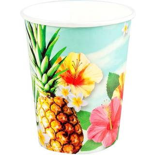 Paradis papkrus