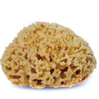 Cocoon Organic Laundry Honey svamp 12 cm