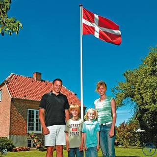Træflagstang, hvid 11 m