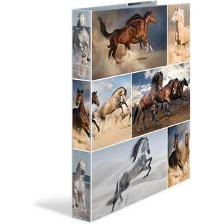 HERMA Ring binder A4 cardboard 2D horses
