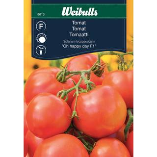 Tomatfrø (Tomat 'Oh Happy Day' F1)