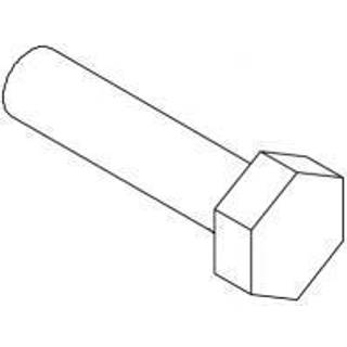 Cubic Skrue, 6 kt., uden skaft, rustfast