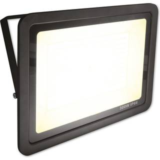 Eurolite FL300 Udendørs Lampe (WW)