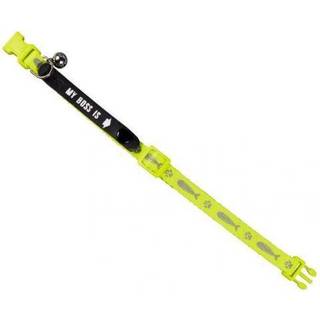 Kattehalsbånd m/adresse - Neon Yellow - 20x6x1 cm