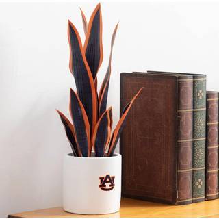Forever Leaf Auburn Snake Plant University of Auburn Faux Snake Plant Auburn Gaver til mænd Auburn Gaver til kvinder Auburn Gaver - Auburn Tigers