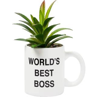 Silver Buffalo Office World's Best Boss Decorative Artificial Faux Greenery Plant i keramik