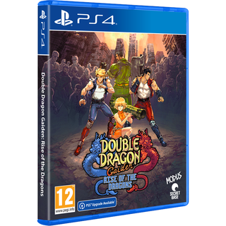 Double Dragon Gaiden: Rise of the Dragons - Sony PlayStation 4 - Kamp