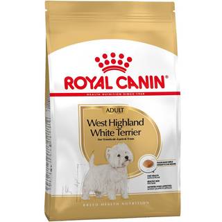 West Highland White Terrier Adult - 3 kg